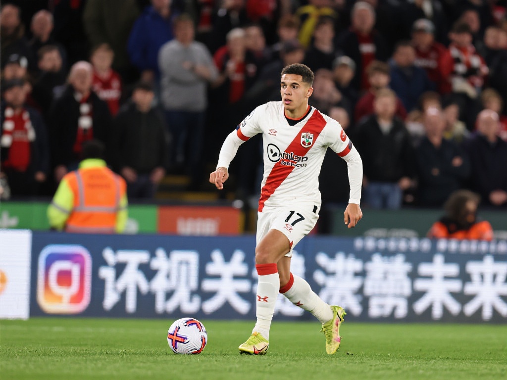 球迷如何看待关键球员的未来？
球迷群体